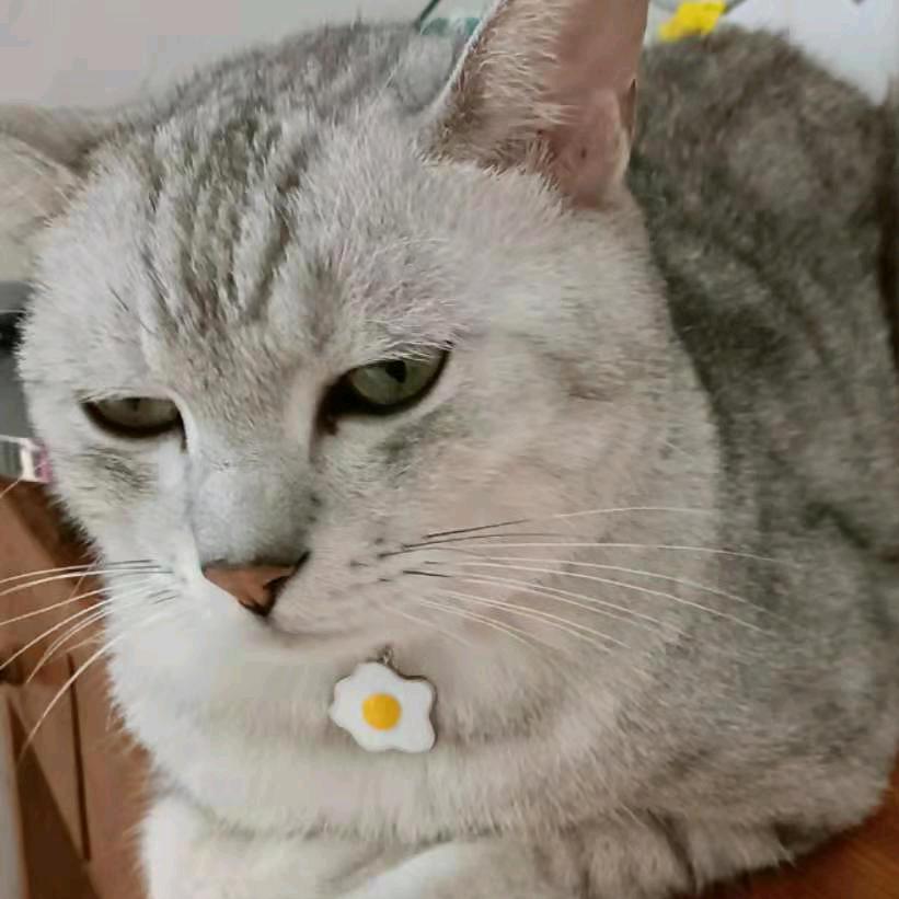 你把昵称改成哦