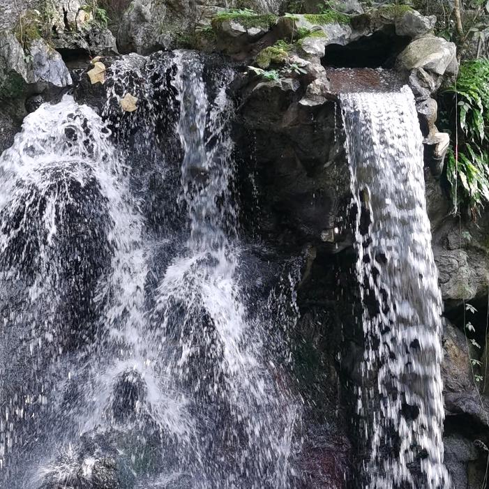 小郑珠宝专场
