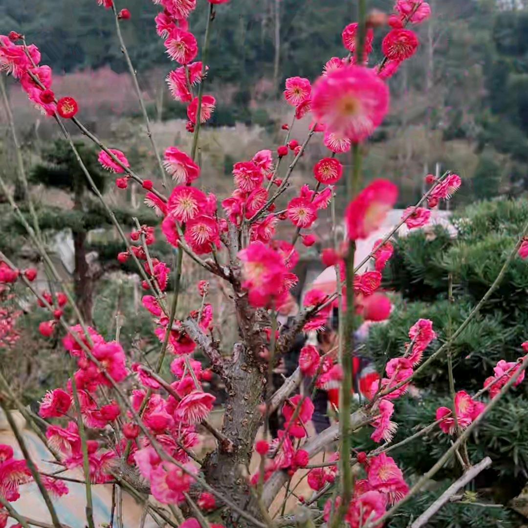 涓涓