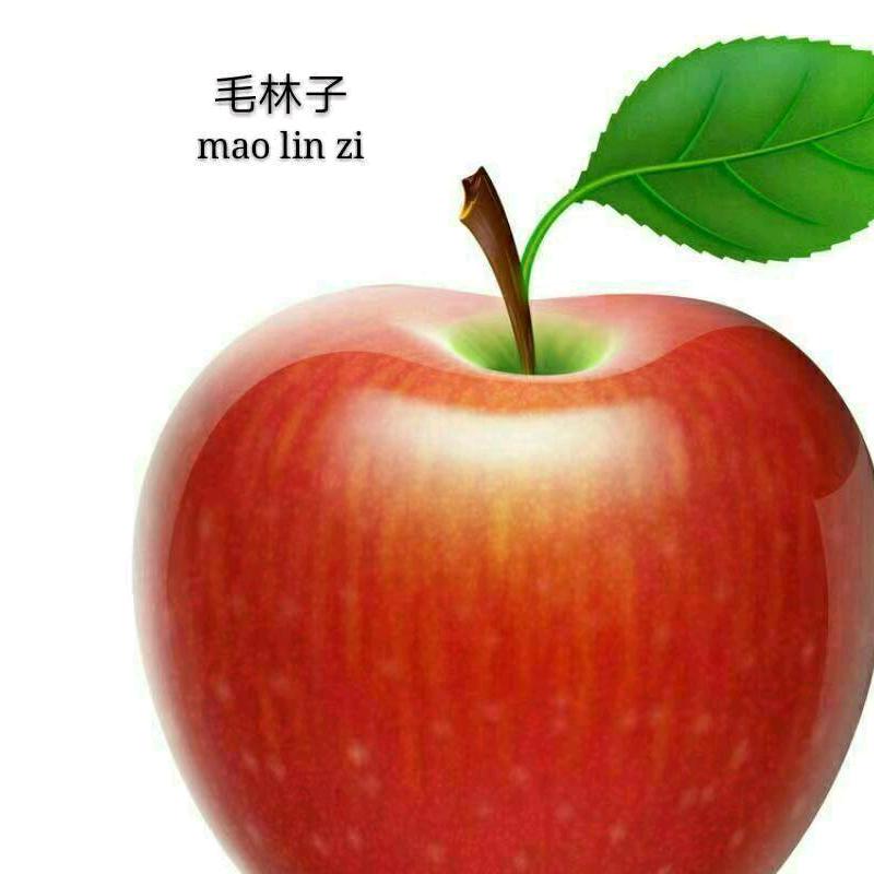 毛林子