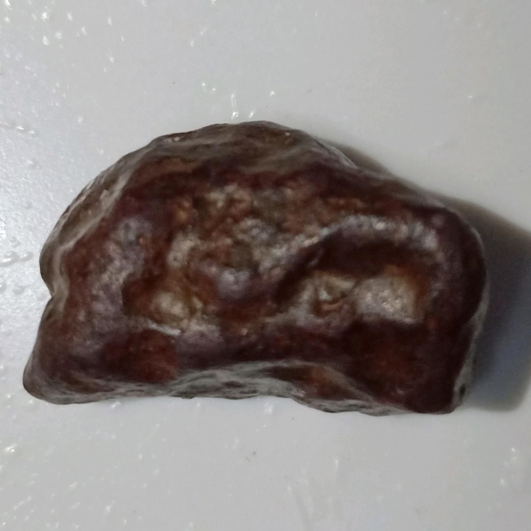 暴龙在起