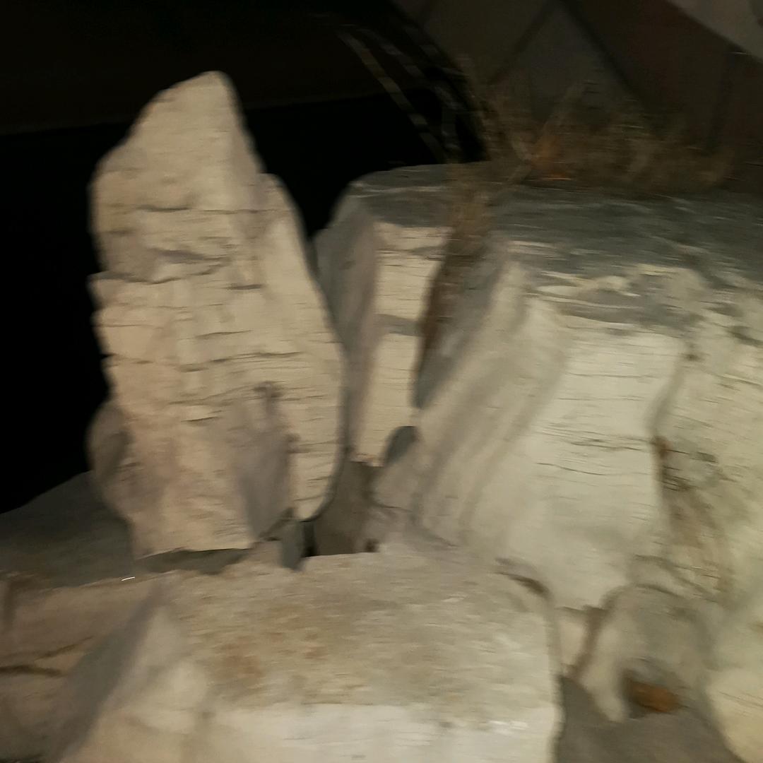 我的美丽