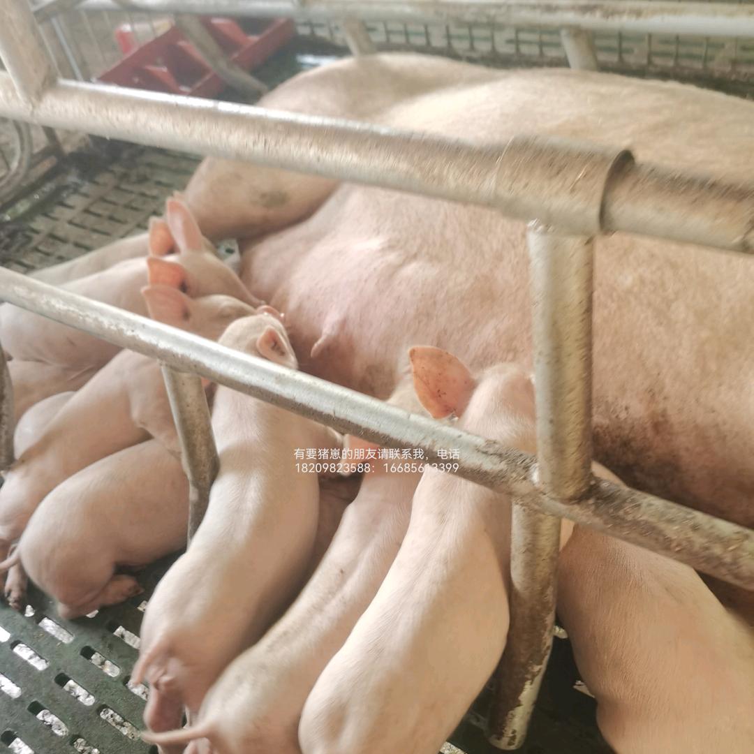 慢慢体会黑夜的孤独