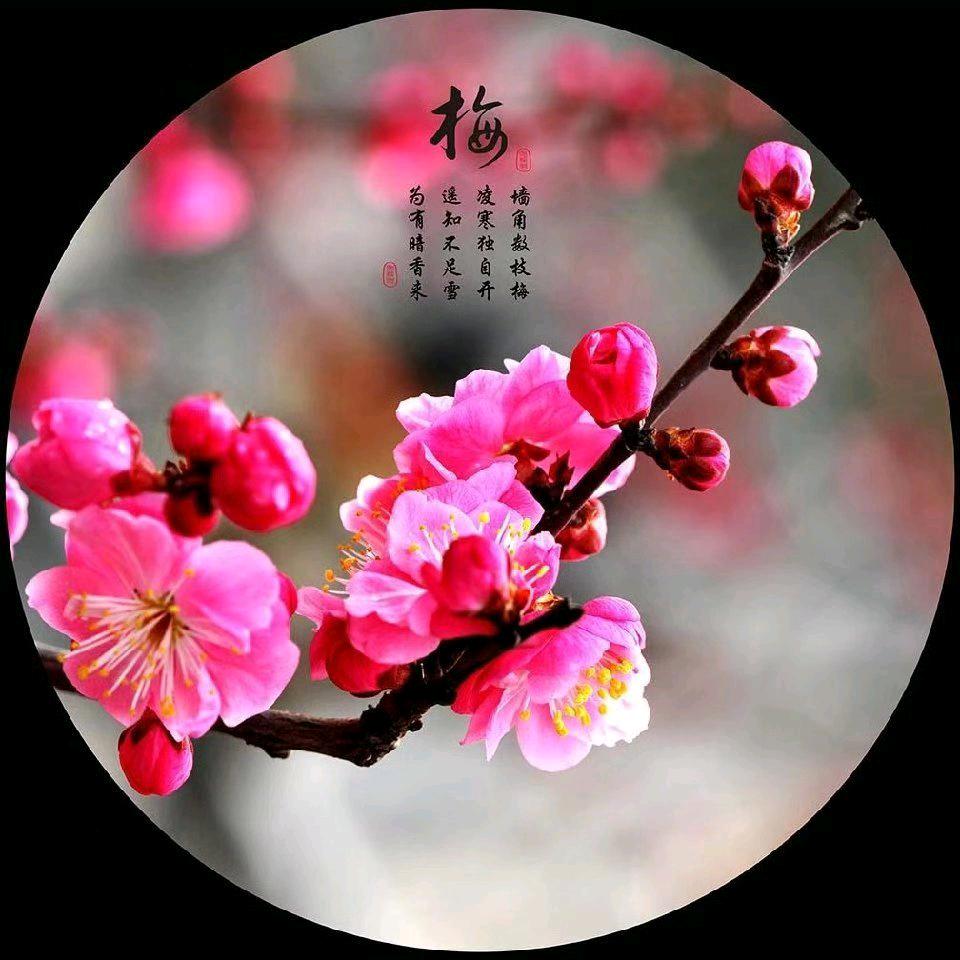 梅姐电子商务部