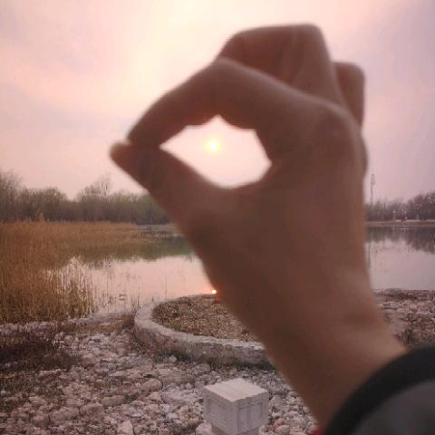 LHM