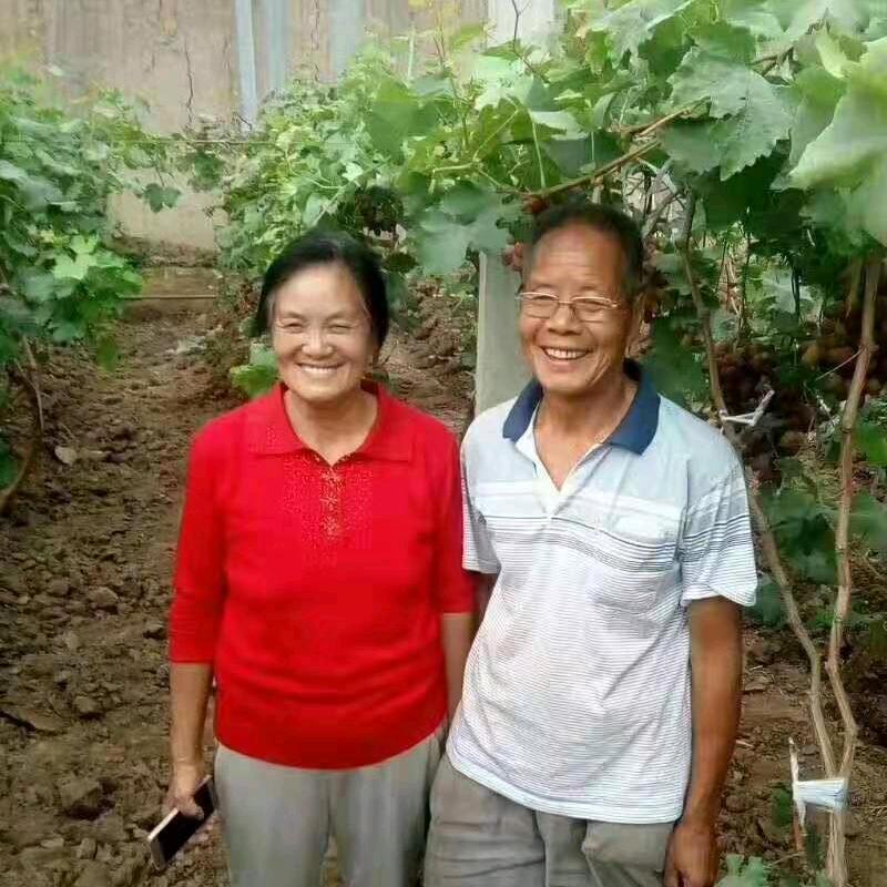 范桂兰