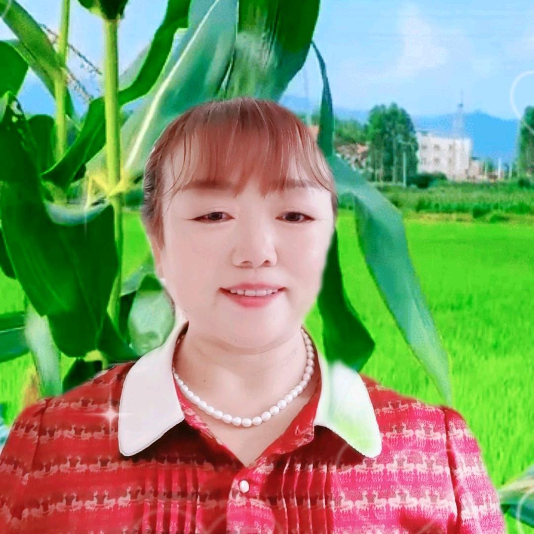 梅花姐姐