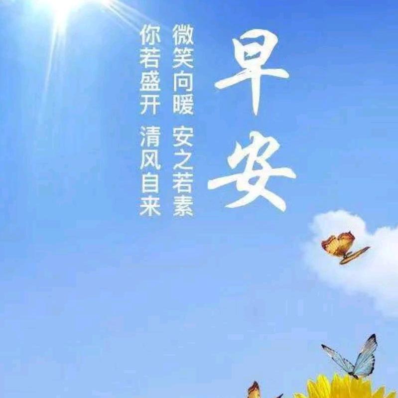 小宇