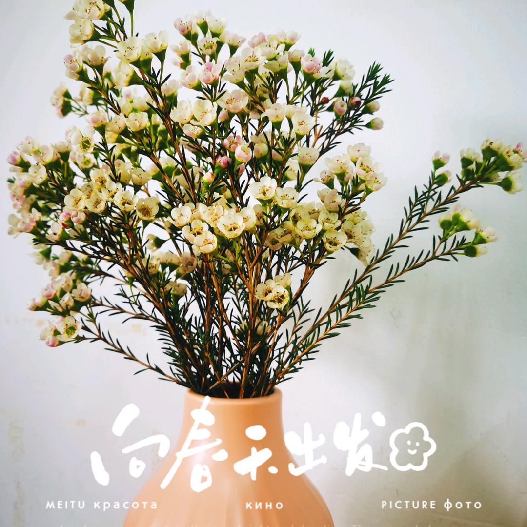 一吨