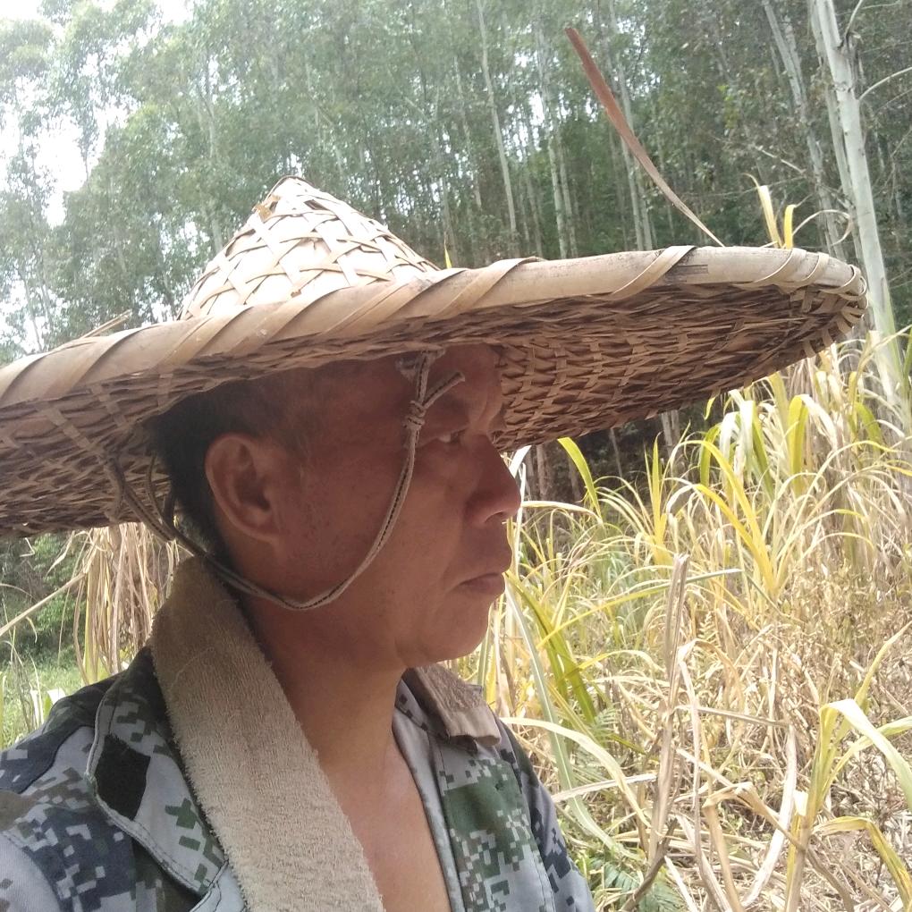 韦小翠