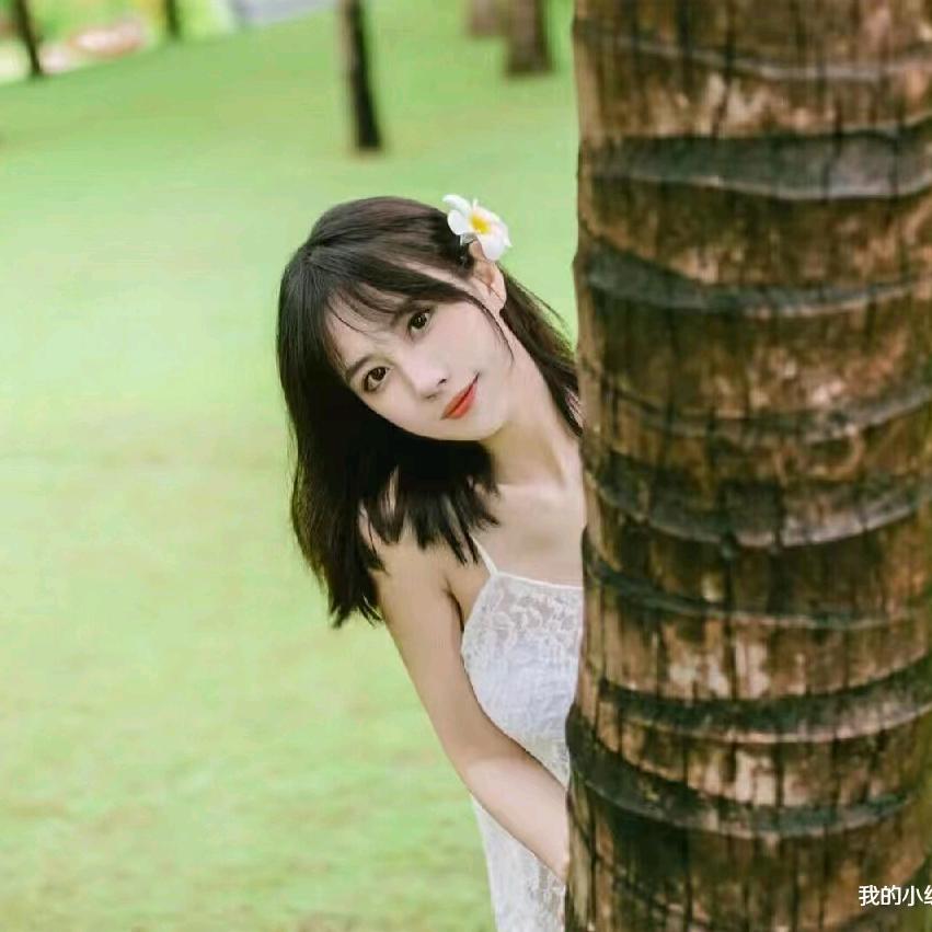 小鱼