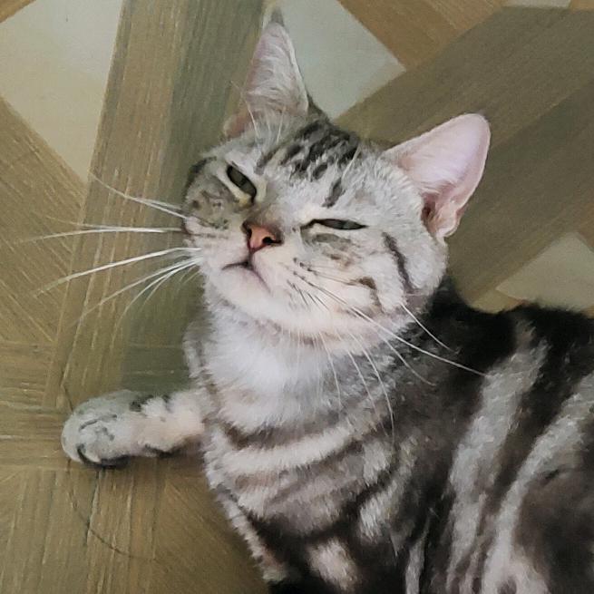 🍊🍊🍊🍊🍊🍊