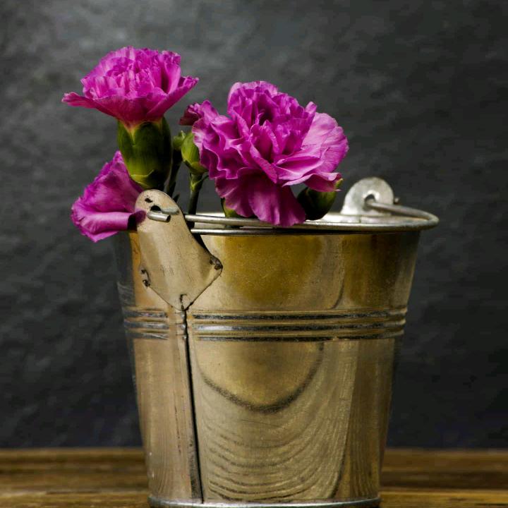 俪人坊妈妈衣橱