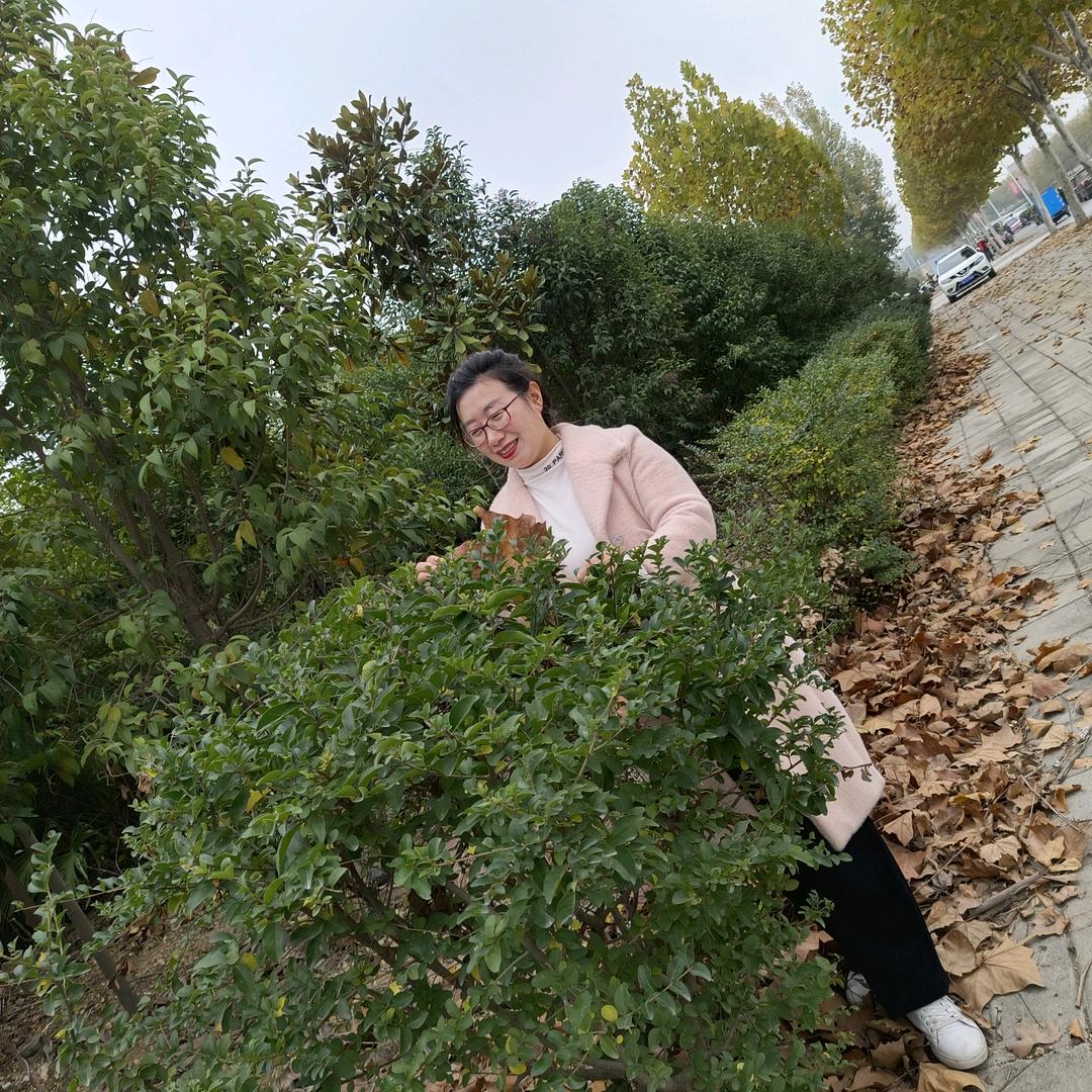 荷你遇见