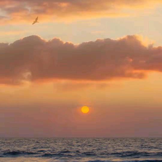 物依在，心已变