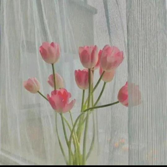 慧智兰馨