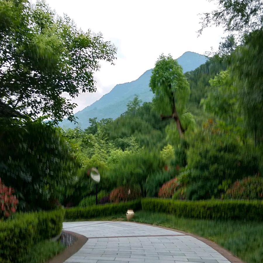 龙哥1246582