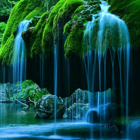 深寒秋意吹落叶