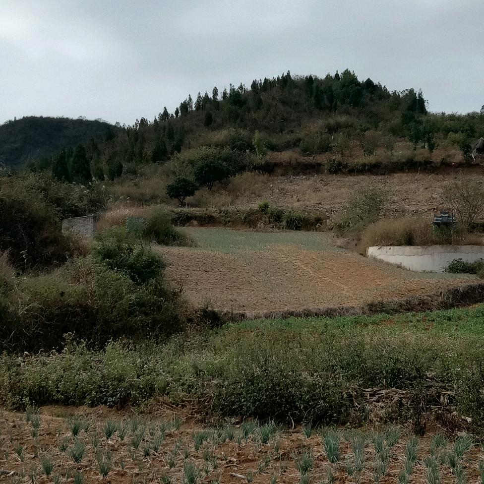用户9440051543094