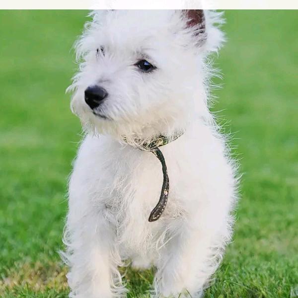 九零的我以不是小孩