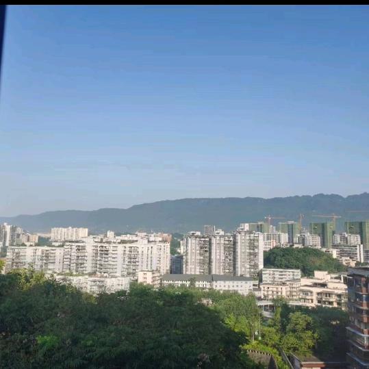 不在期待