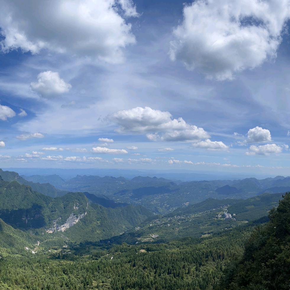 峰顶土特产1号直播间