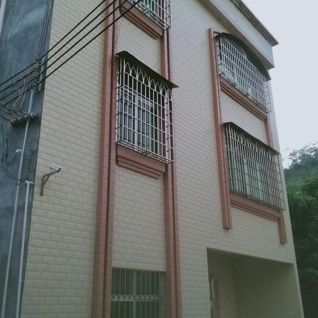 中国大罗定强哥