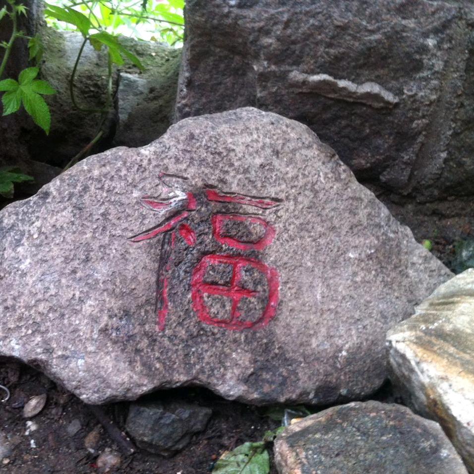 摩羯17