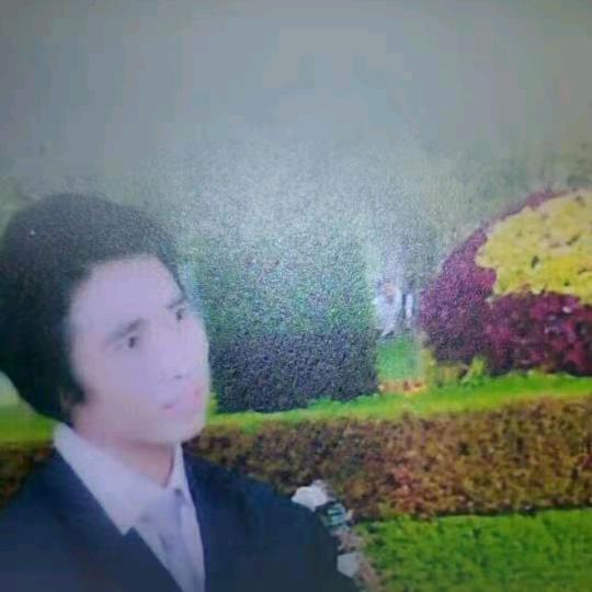 刘德华的弟弟
