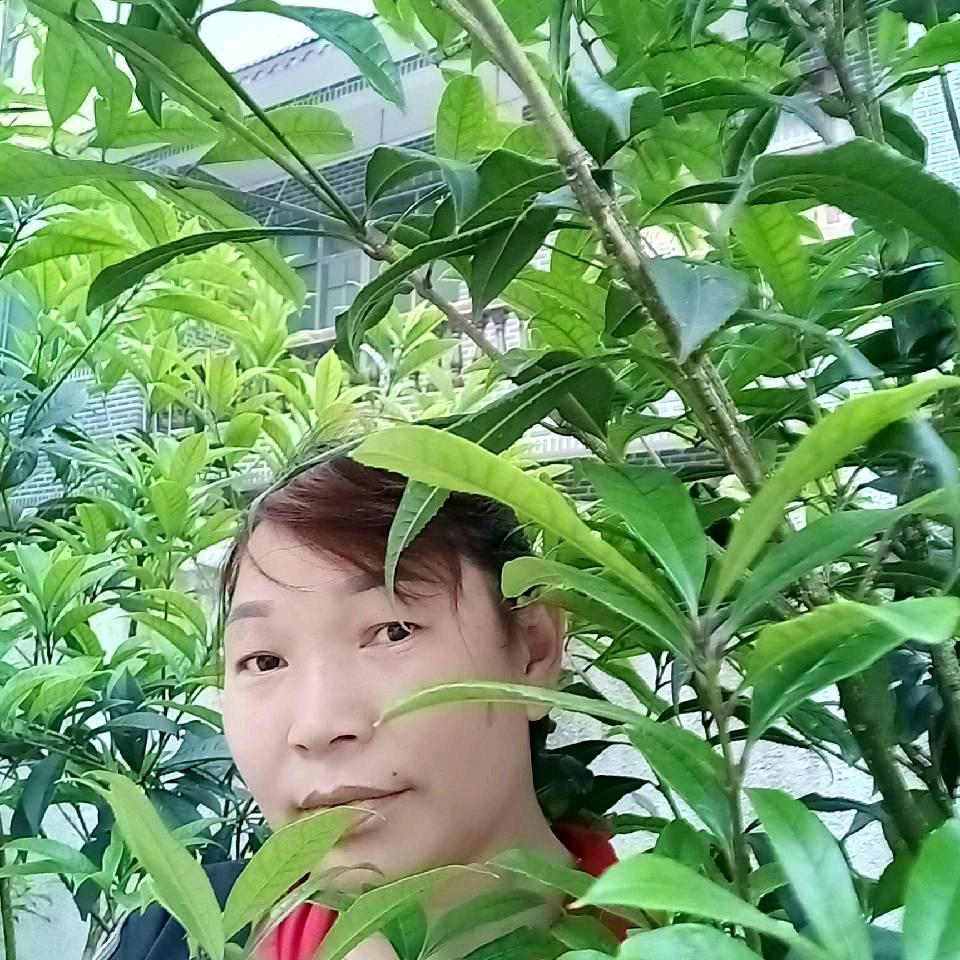 开心❤就好