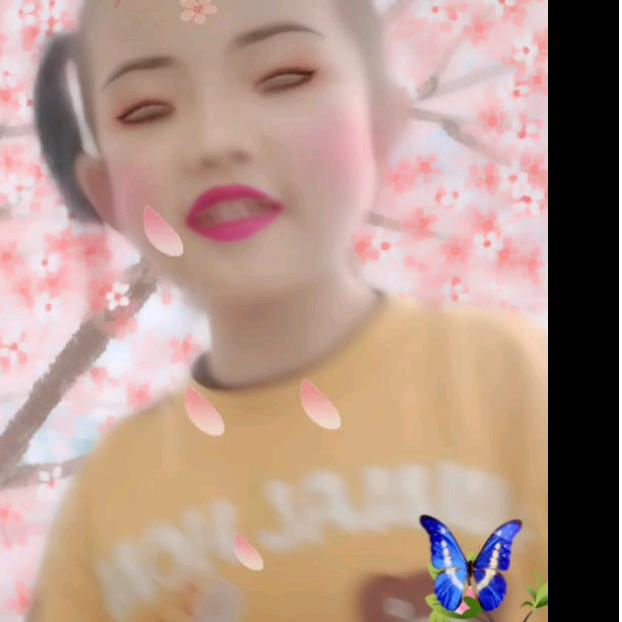 凤