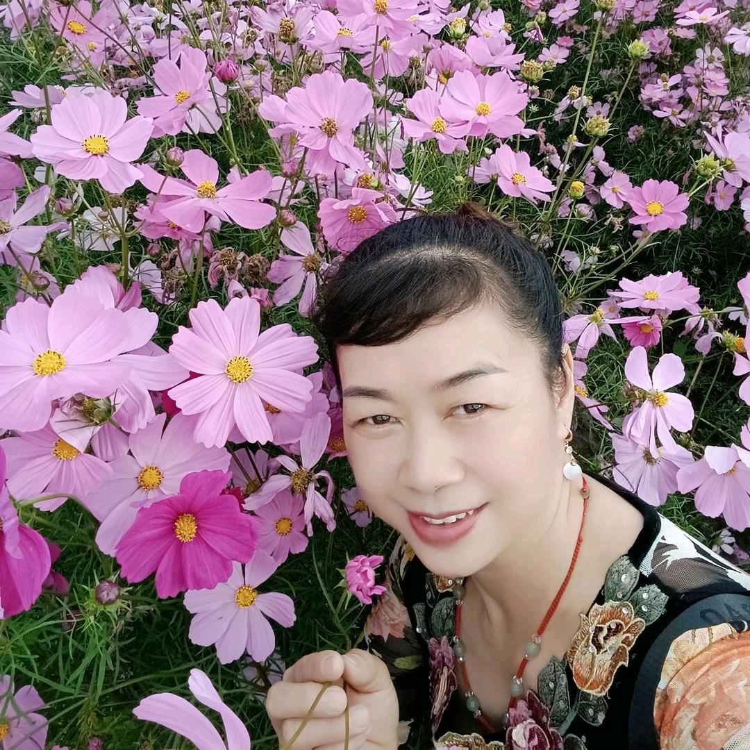 萍