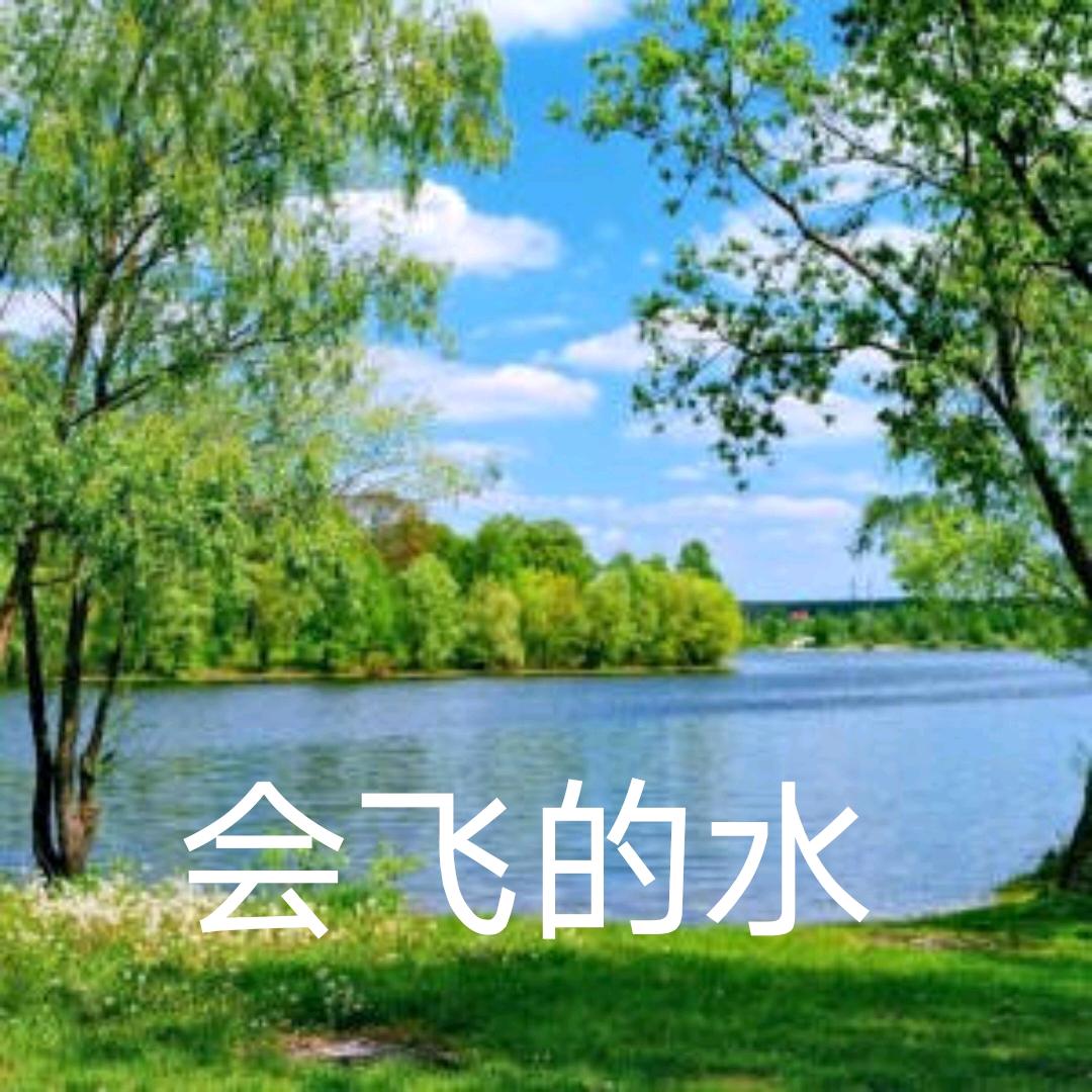 会飞的水🇨🇳