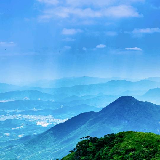 吴建新