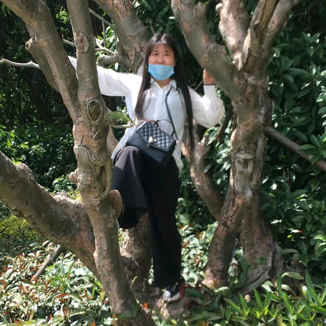 琼琼.