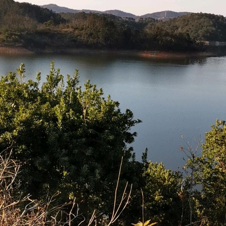 蒋三爷