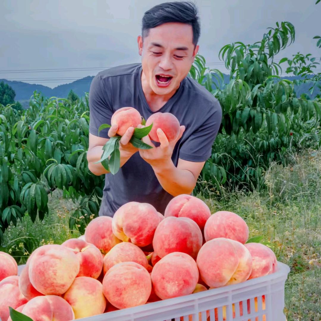 乌龙嘴农场_嘴哥