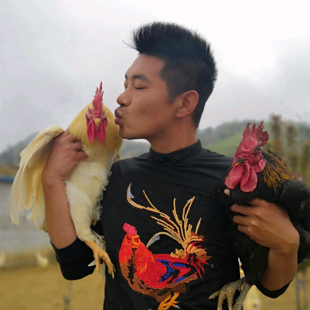 青岛山鸡大王烤鸡