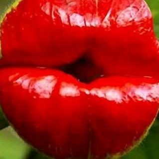 月入3500的保安大哥求饱养