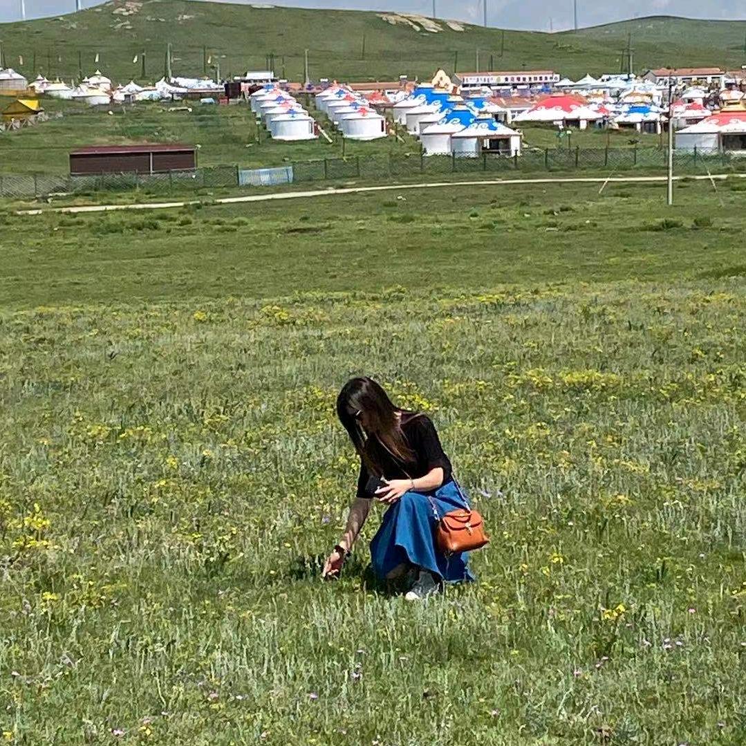 🌷感恩遇见🌷