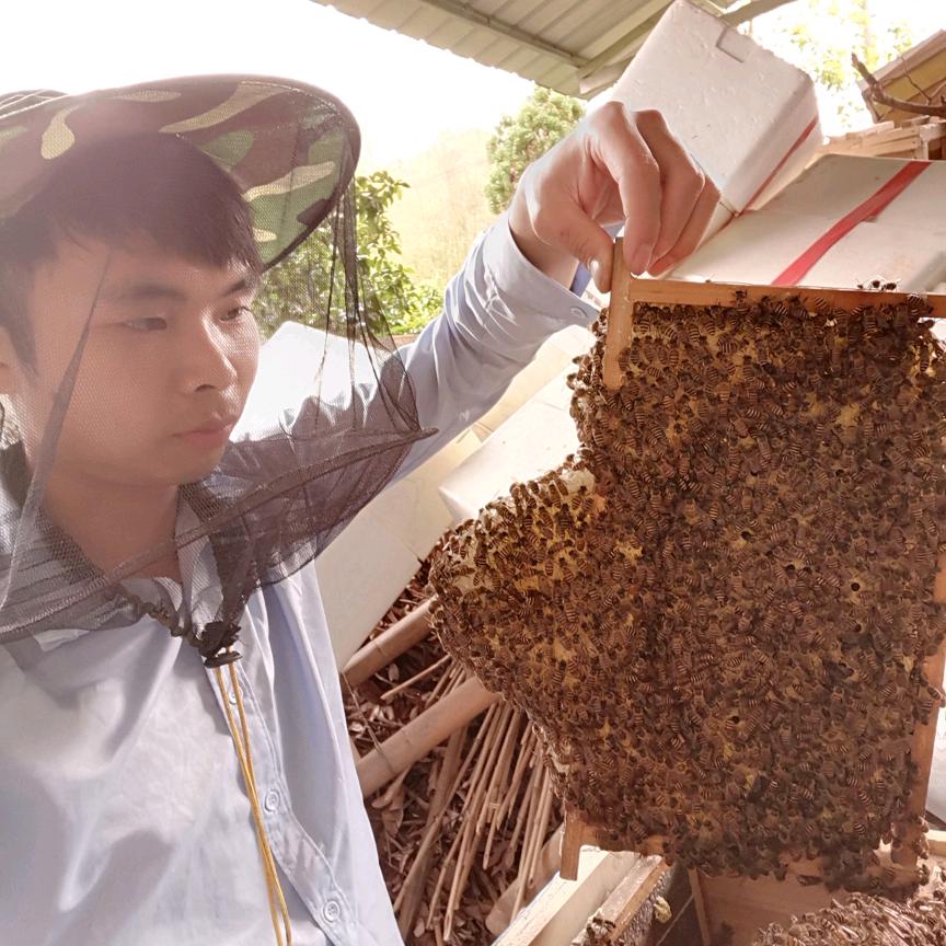 广西桂平🐝啊成