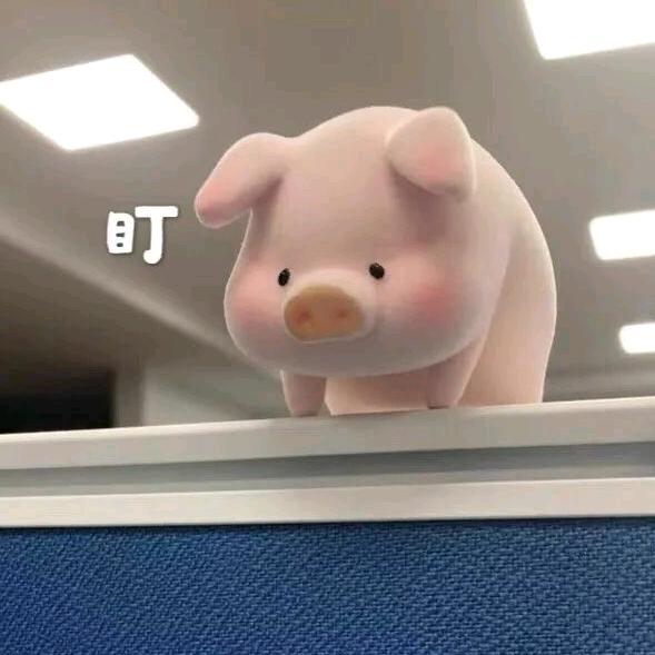 一只小猪🐖