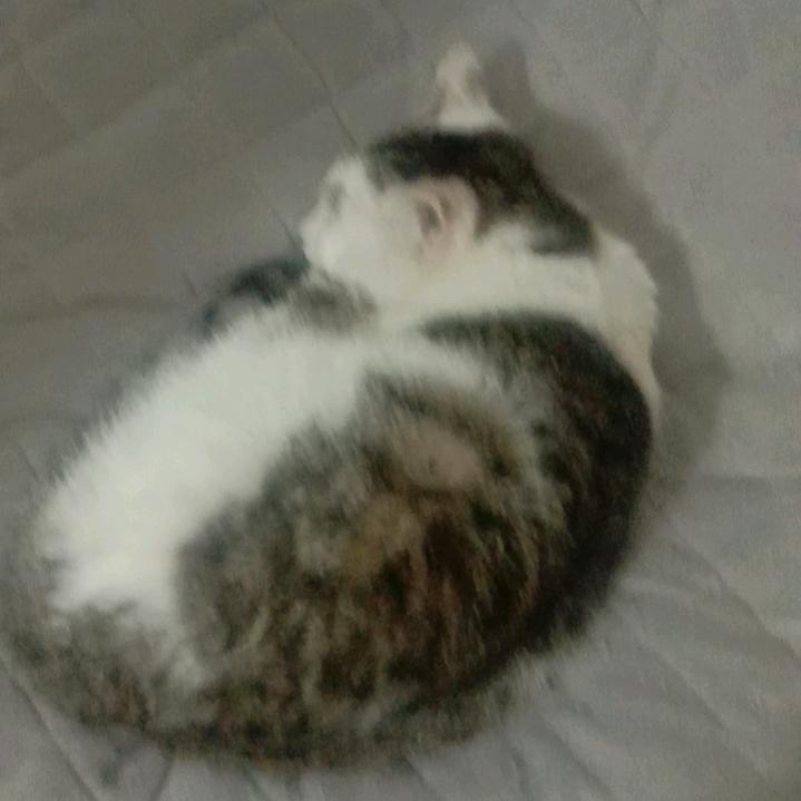静
