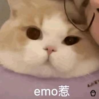 白衣神王脆啵啵