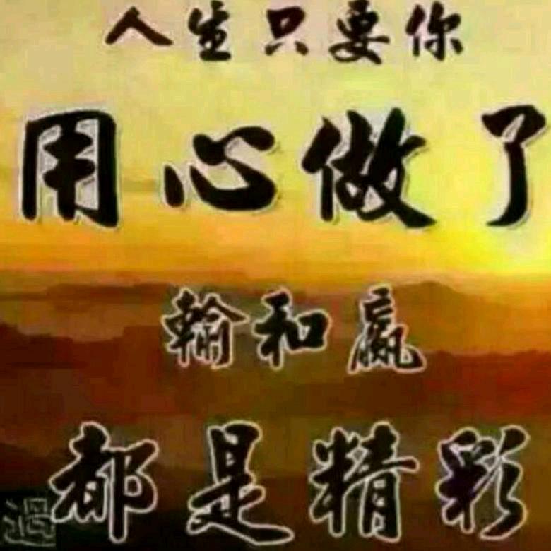 独自旅行