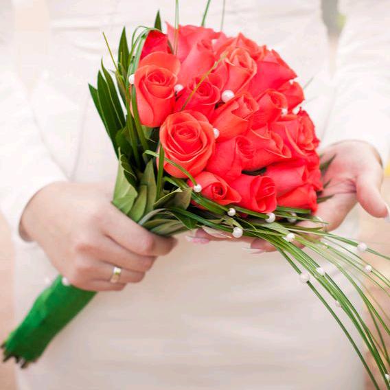 🌹王平🌺