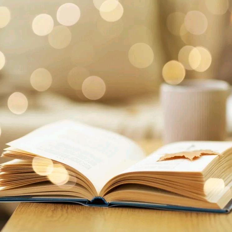 圆梦读书（书在橱窗）