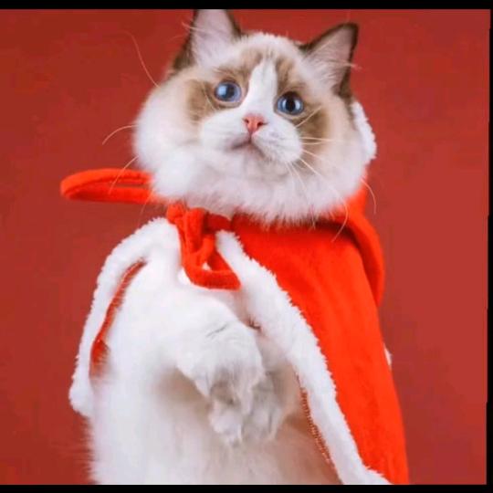 我是限量版的男人