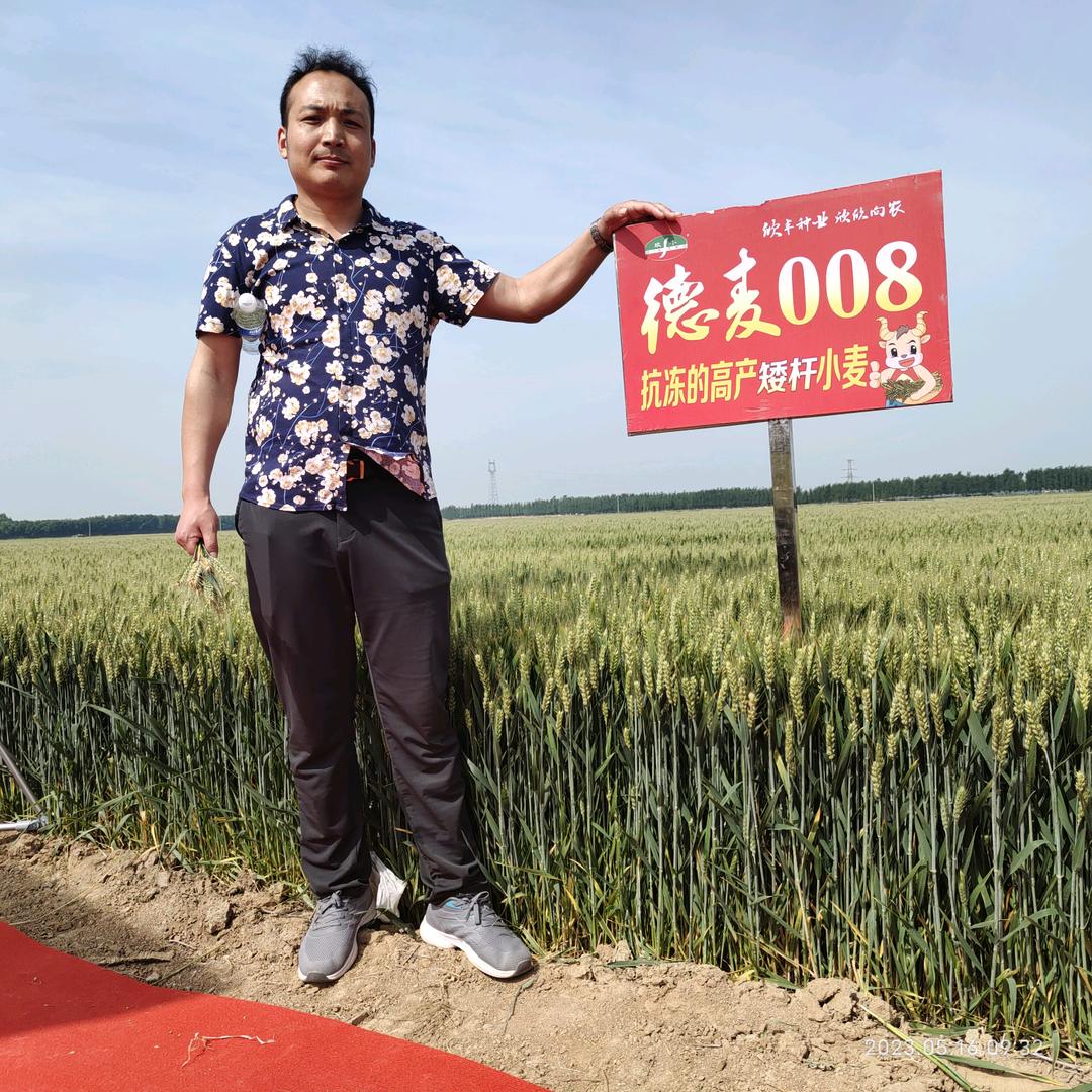 安丘景芝海勇种业