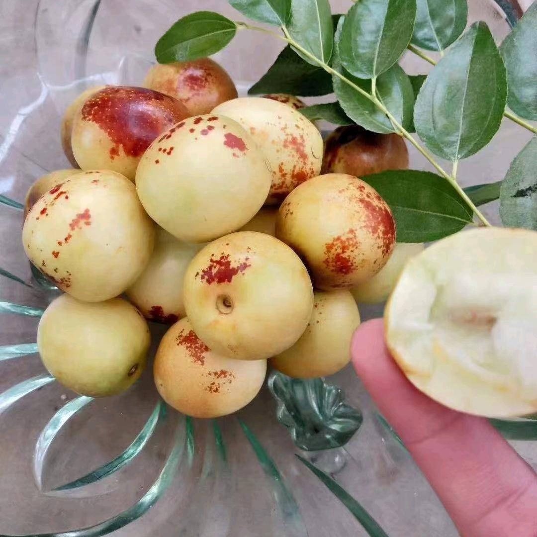 @丁恩惠